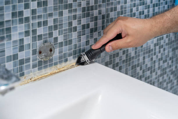 Best Mold Remediation Experts  in Cheltenham Village, PA